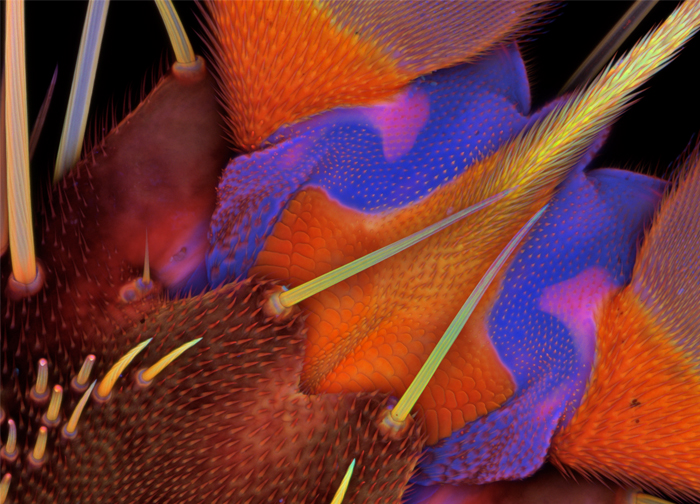 2011-hm-Jan Michels-525