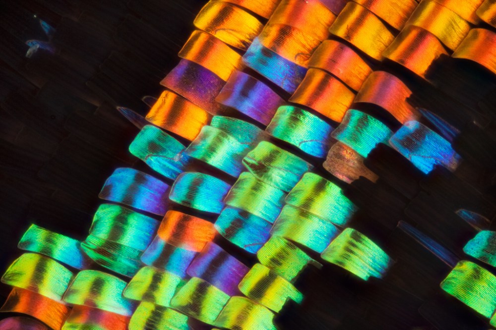 7921042772_55a5a966ef_b