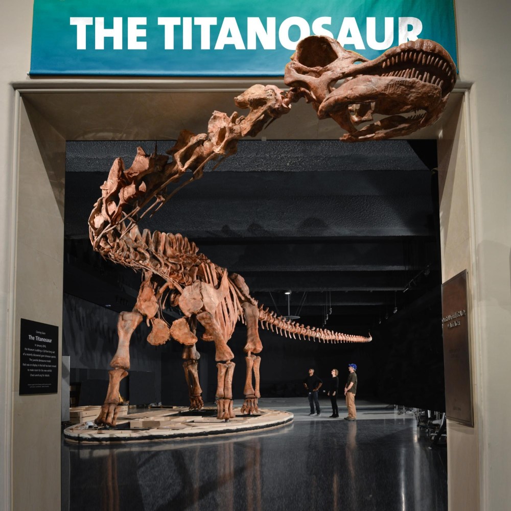 titanosaur.jpg