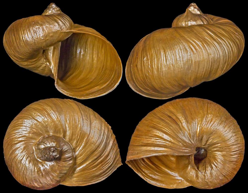 12513938_10207492582127068_5958958568619272202_o